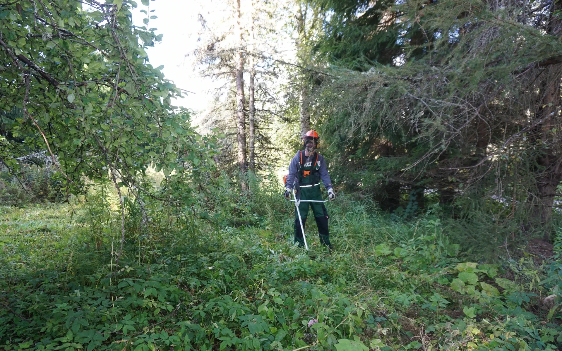 Stephan mows with the brush cutter