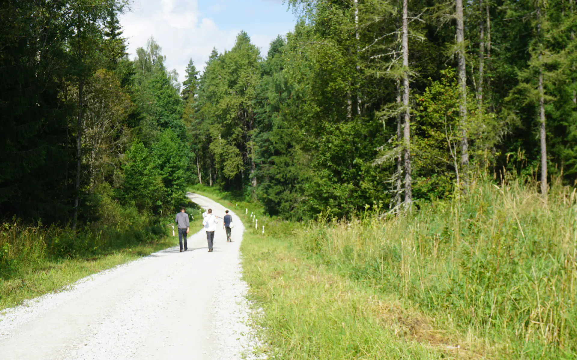 Drei Gestalten wandern über einen Schotterweg im Wald