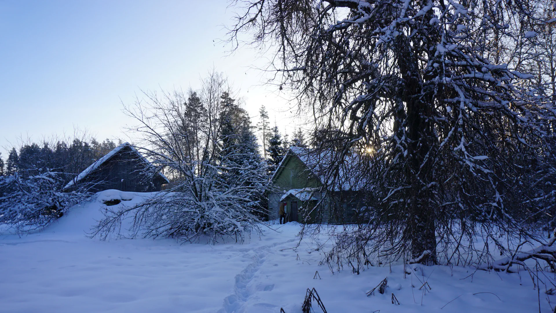 View on the farm from the forest