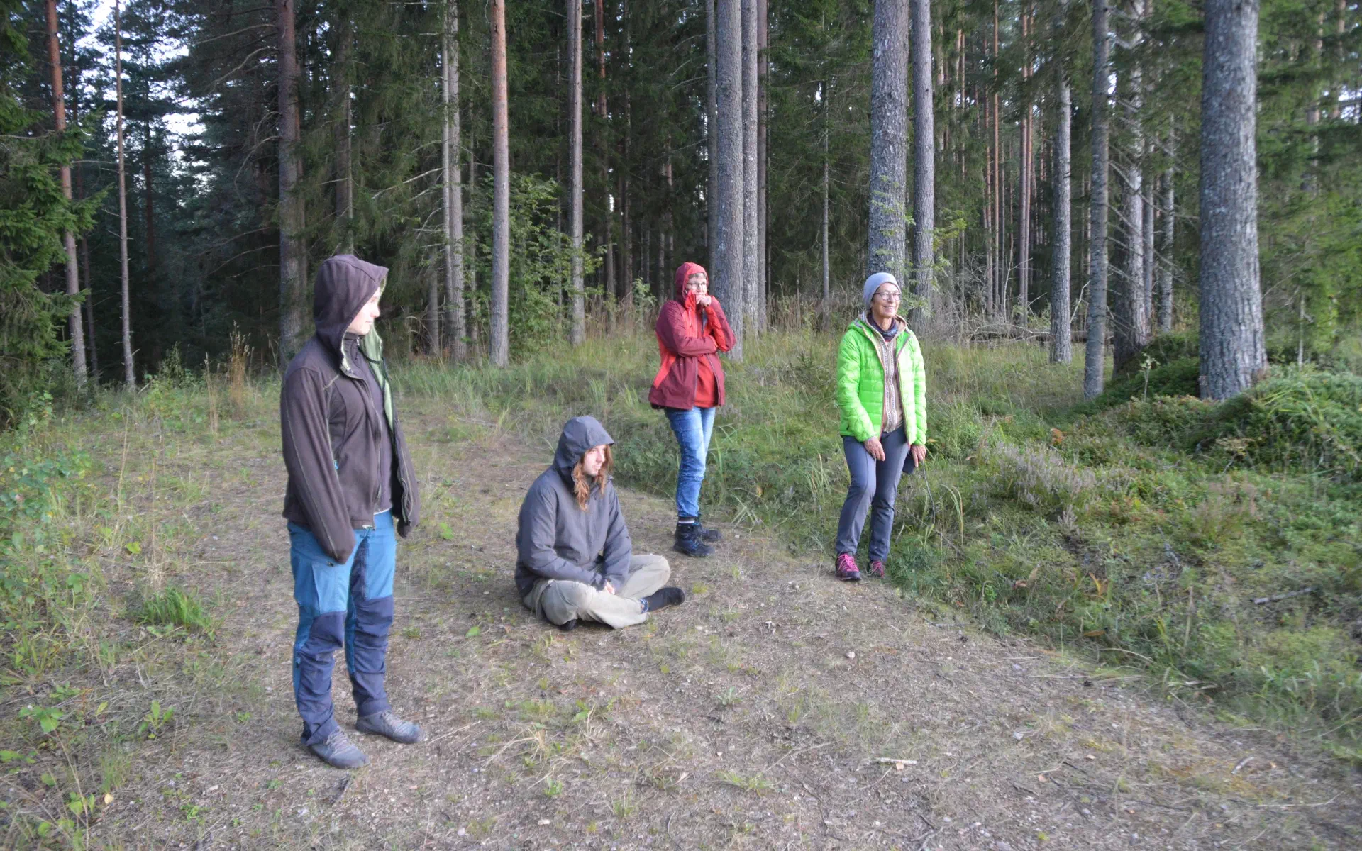 Vier Menschen sitzen und stehen vor einem Wald und schauen in den Sonnenuntergang.
