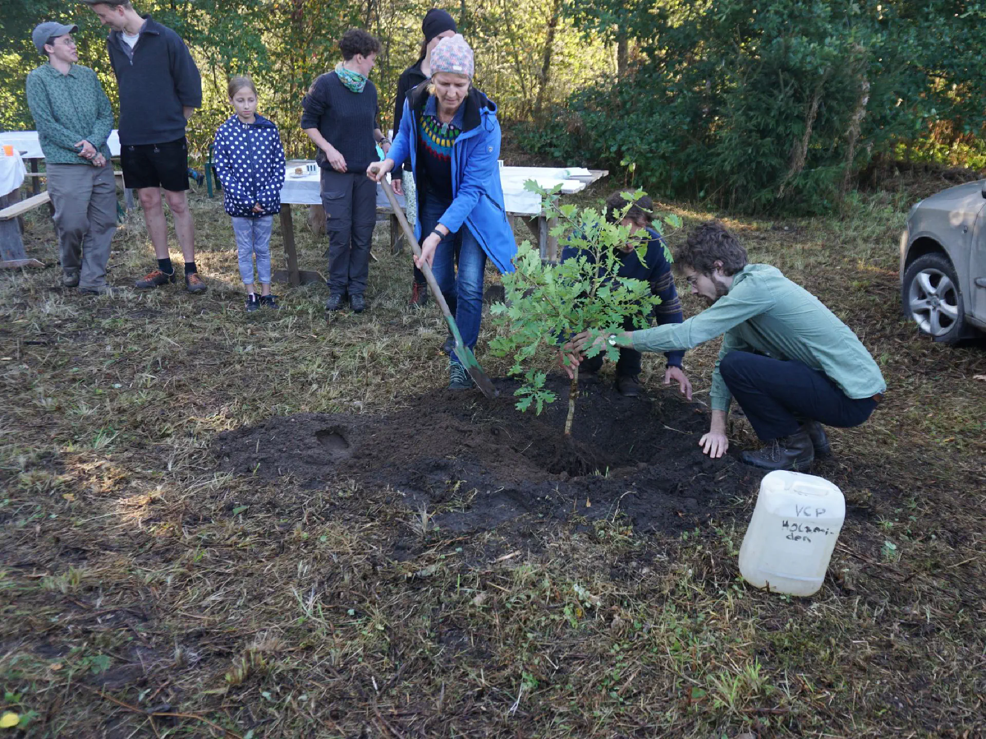 Lionel holds the young oak tree while Krista and Lukas are busy shoveling soil onto it