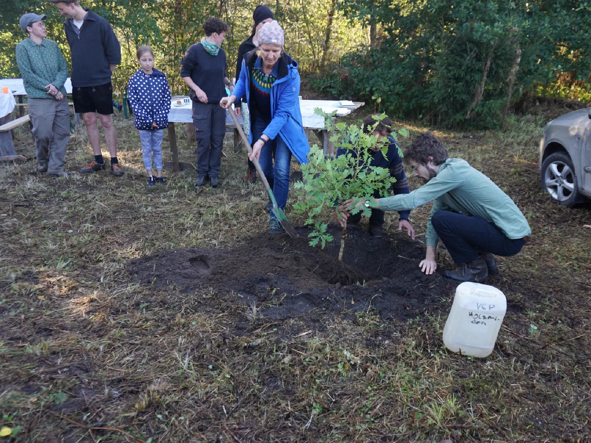 Lionel holds the young oak tree while Krista and Lukas are busy shoveling soil onto it