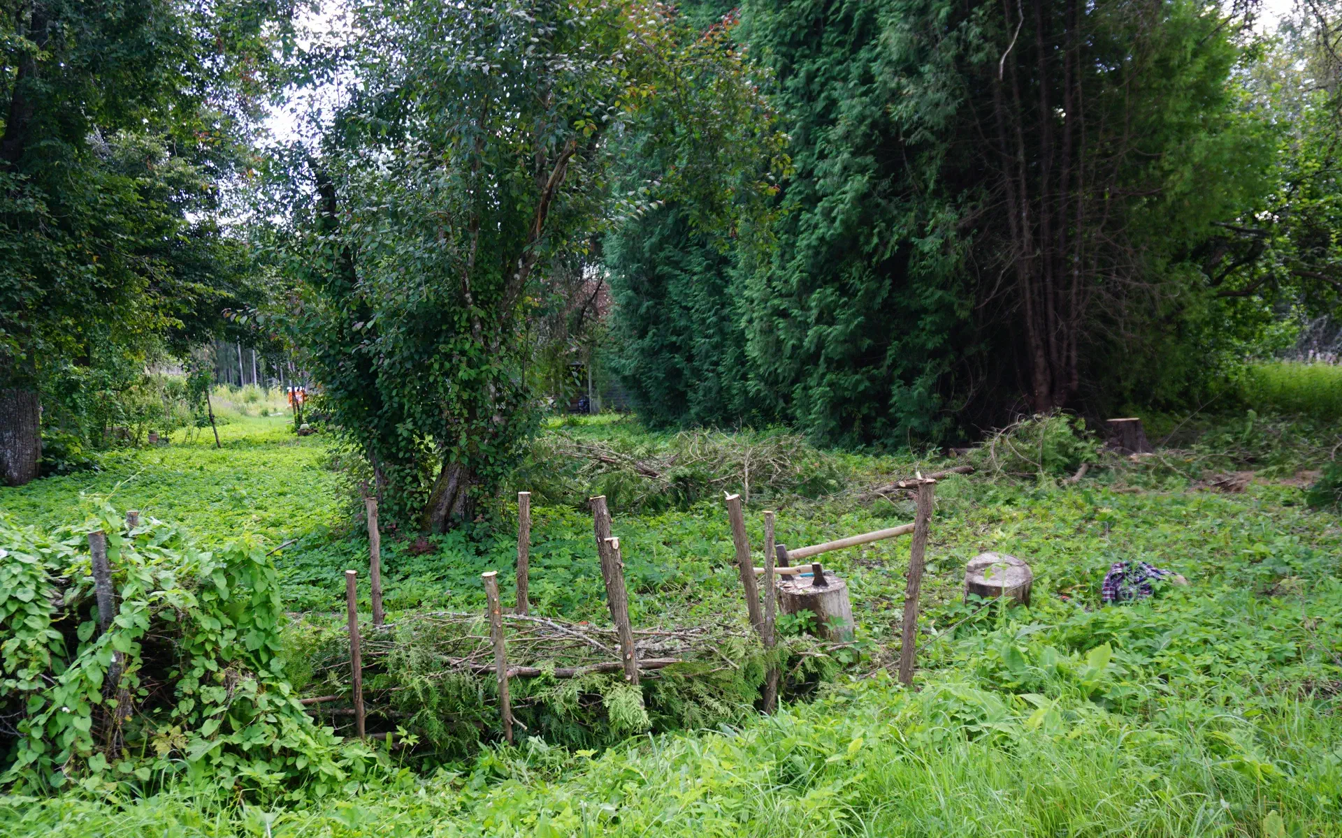 The stakes for an extended deadwood hedge have been driven into the ground.