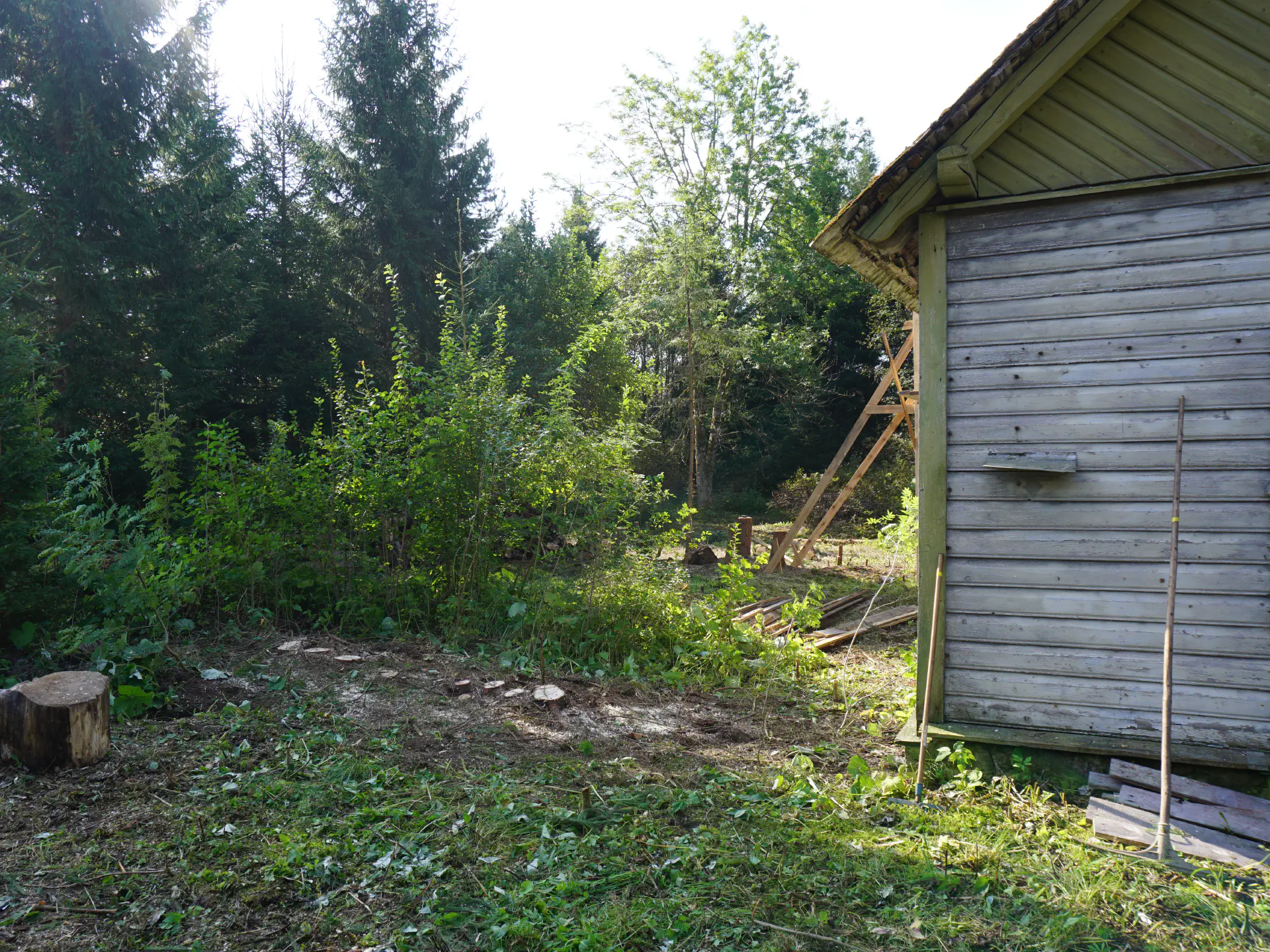 Neben dem Haupthaus sieht man 8 Baumstümpfe.