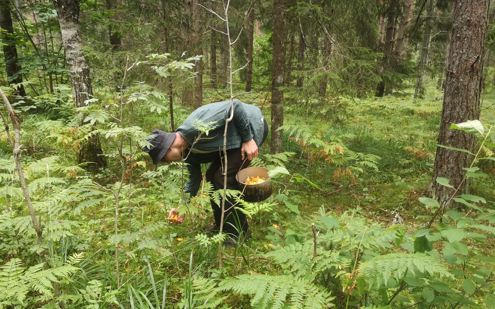 Lukas is plucking some mushrooms