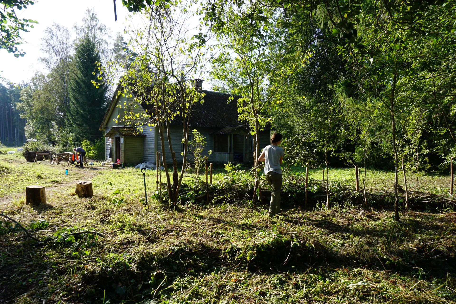 Die Totholzhecke mit Haus im Hintergrund