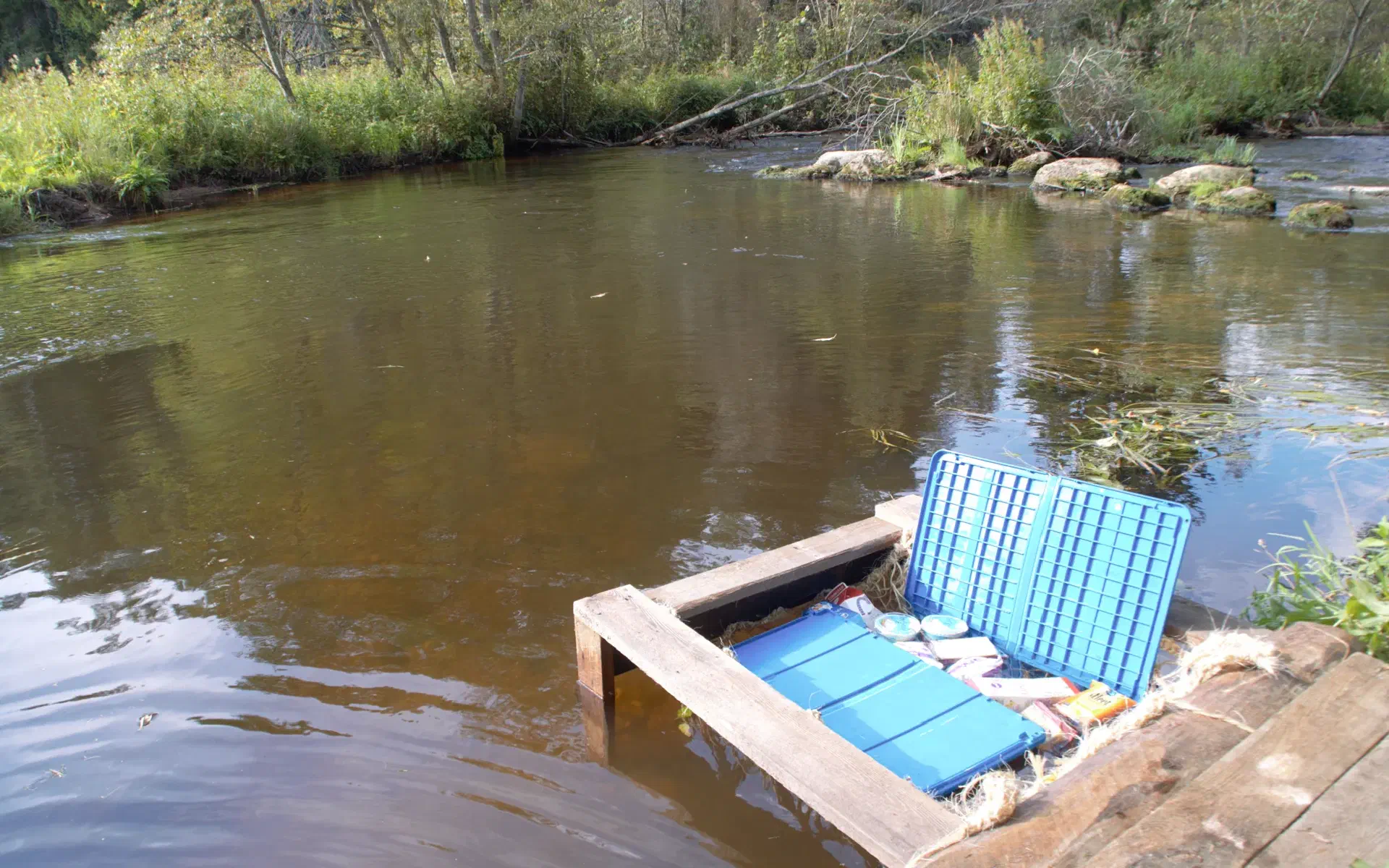 A few boards, a woven net, and blue plastic lids keep food items that need to be kept cool in place in the river.