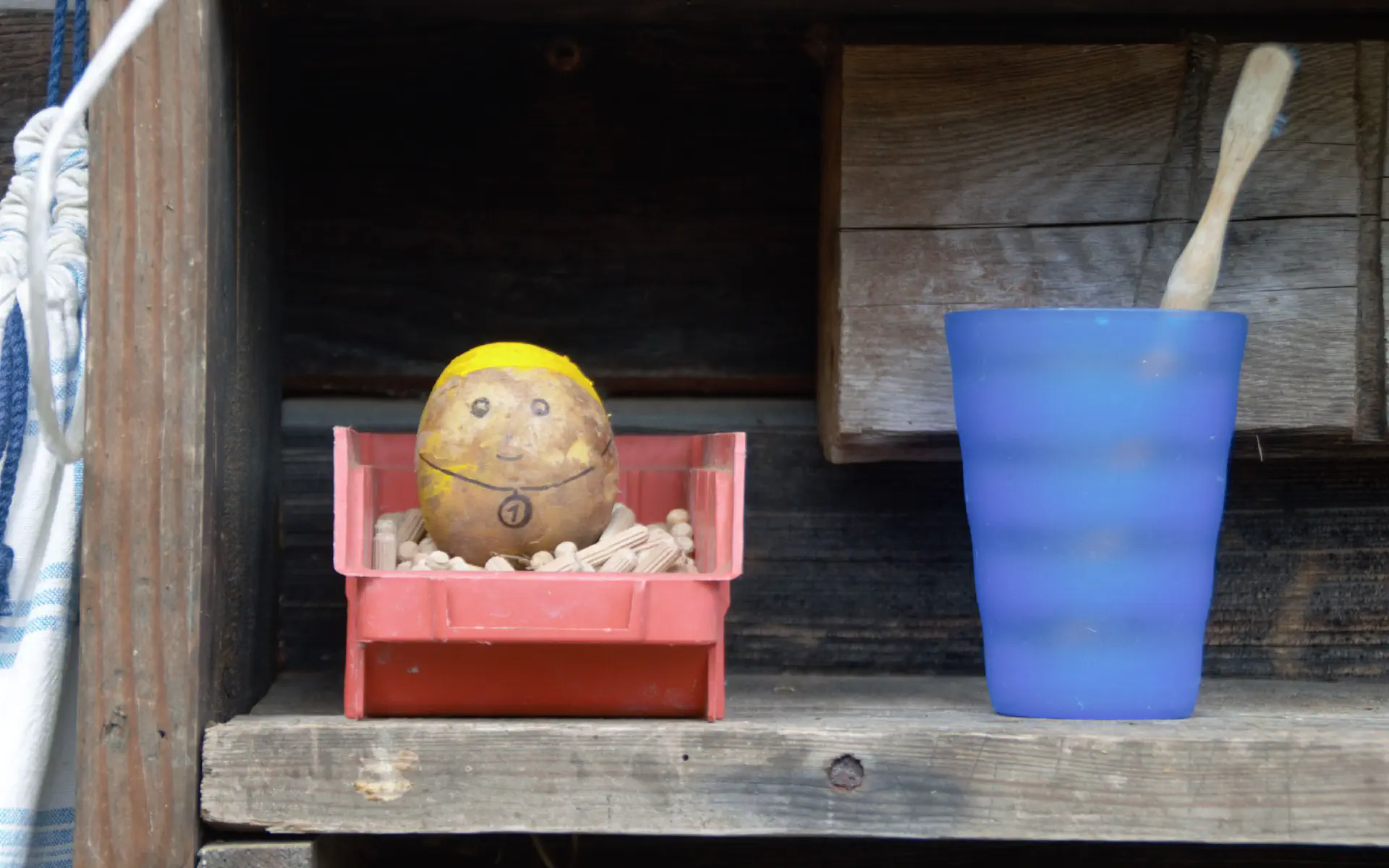Eine angemalte Kartoffel steht im Zahnputzregal. Das ist der Kartoffelkönig