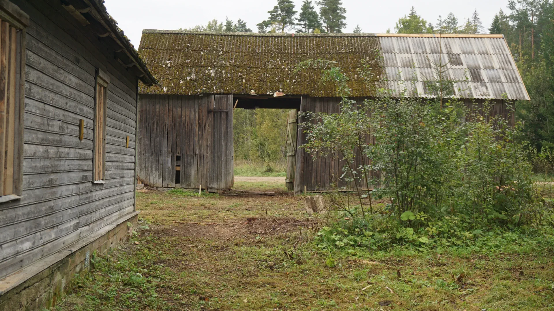 The barn with repaired roof and gate