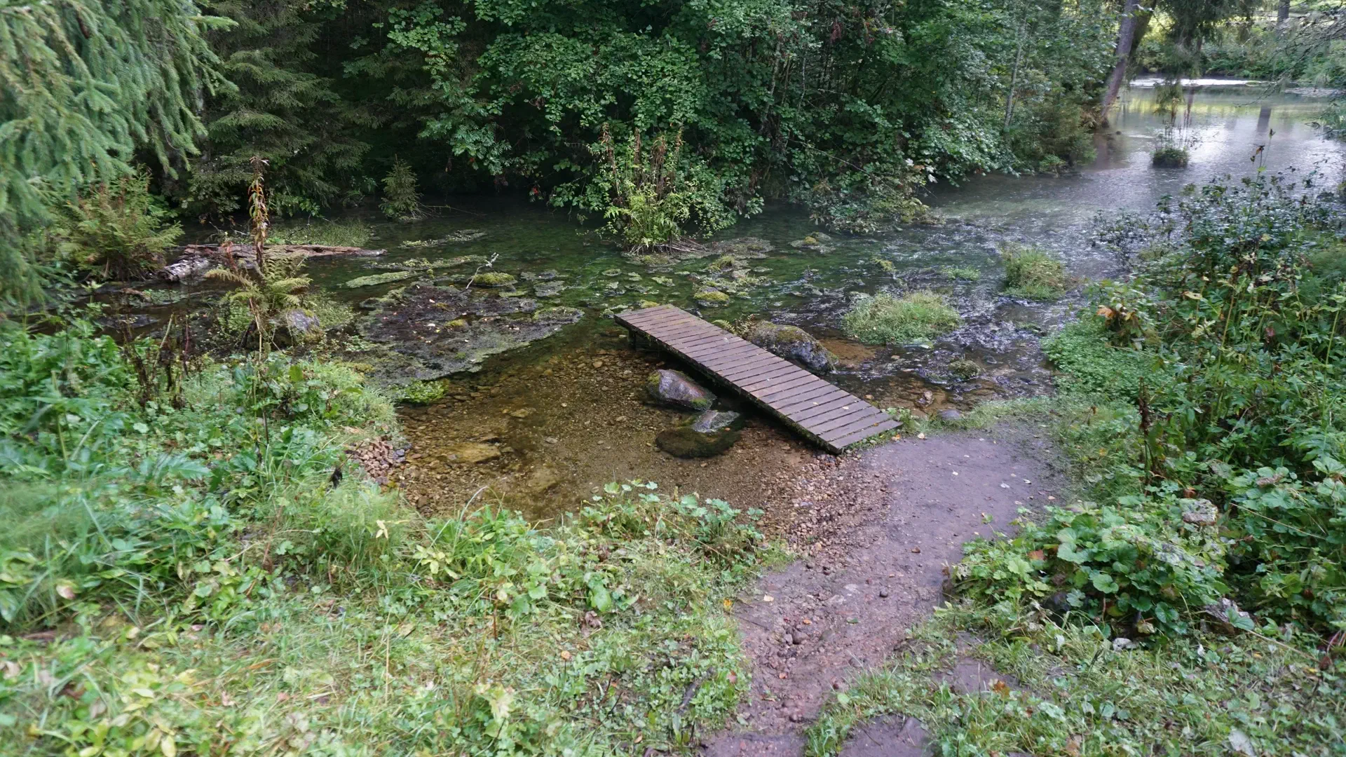 Our spring with a footbridge