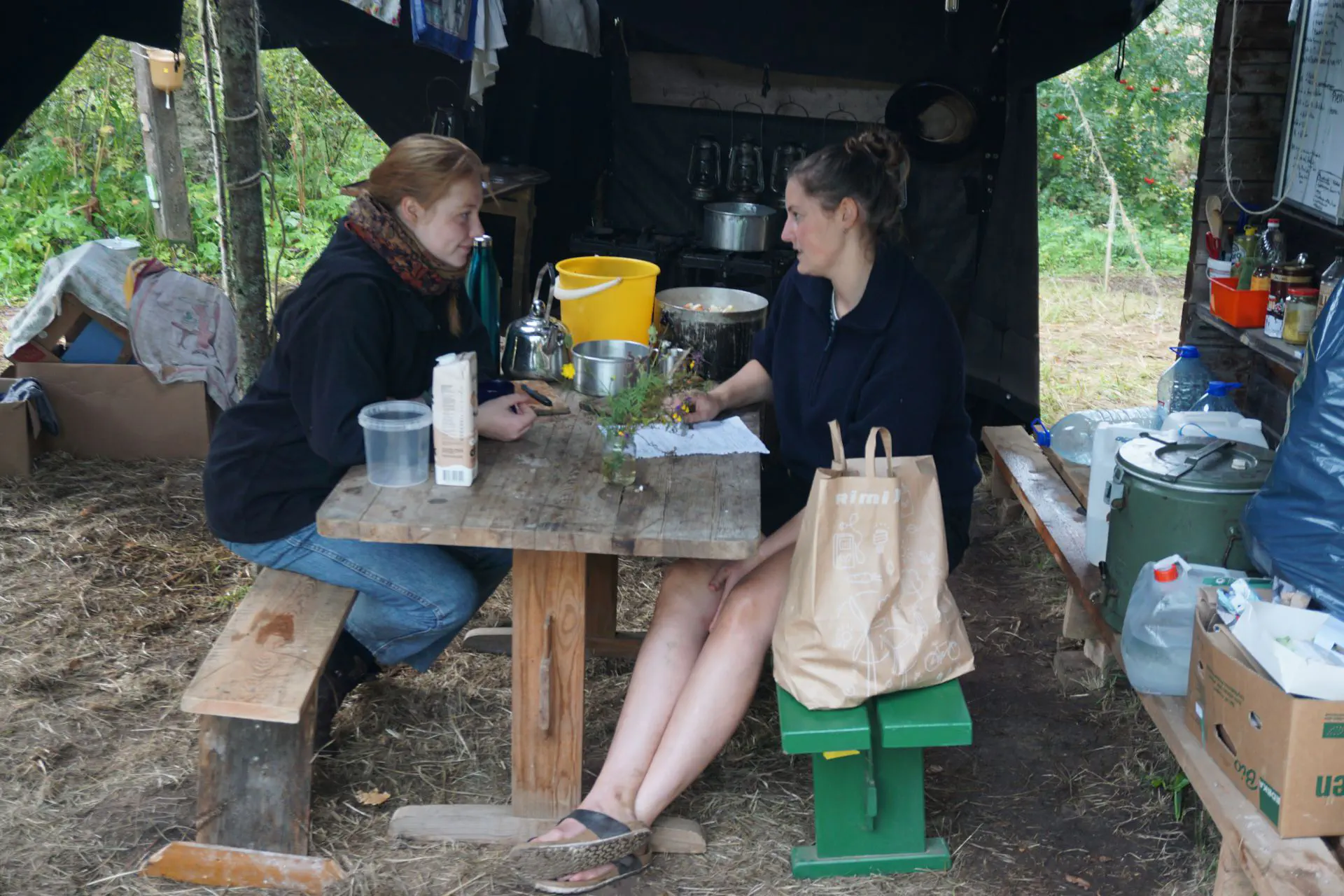 Mille and fame do the kitchen planning