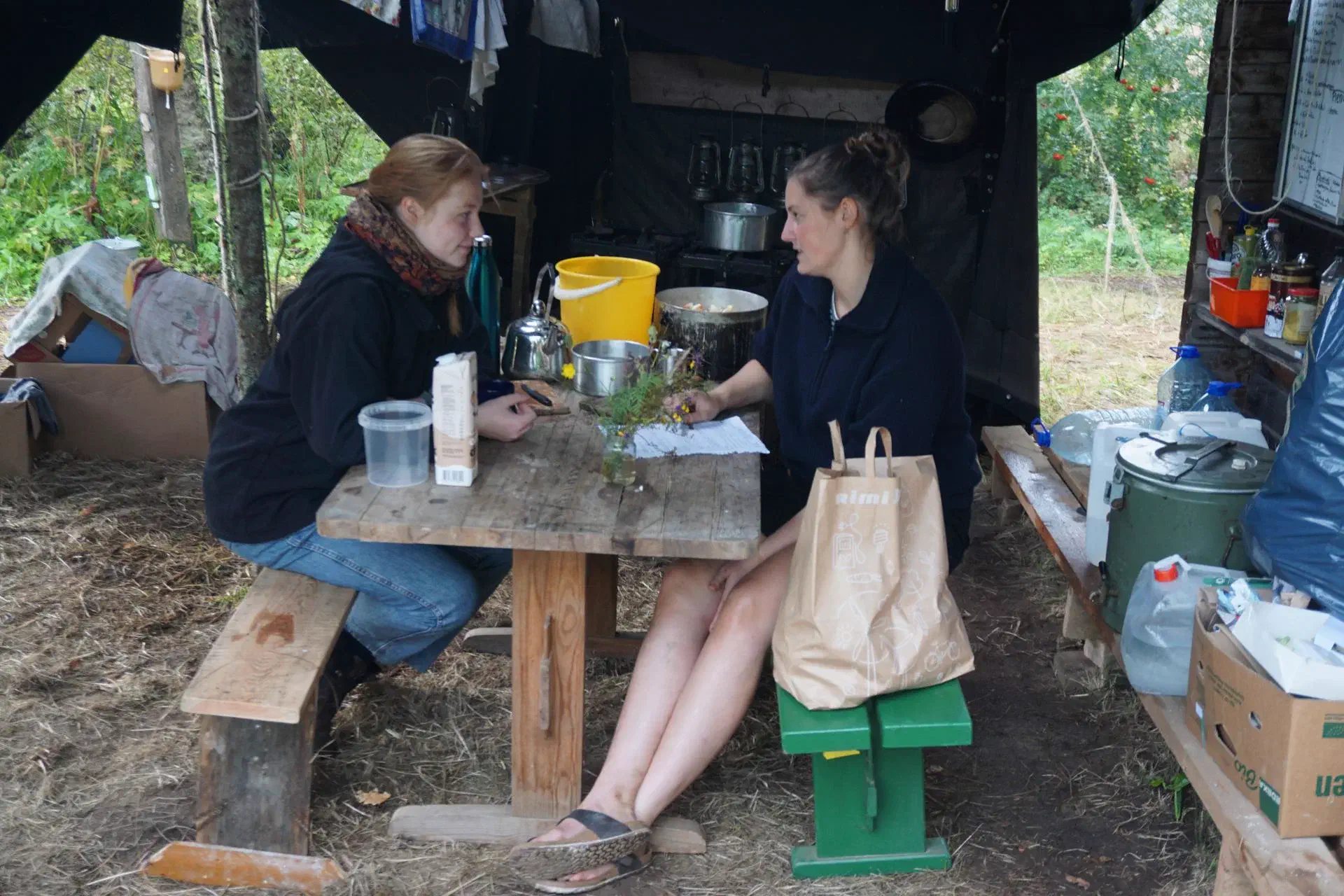 Mille and fame do the kitchen planning