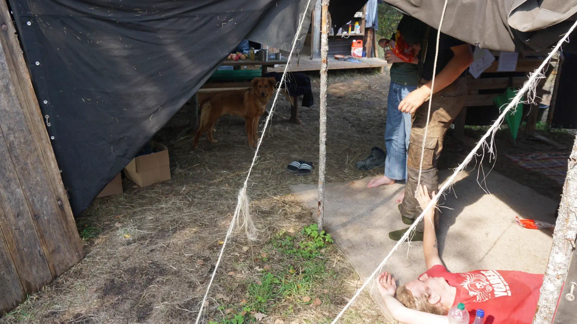 Dog Motte looks out of the tent, human Jorge lounges around in the foreground