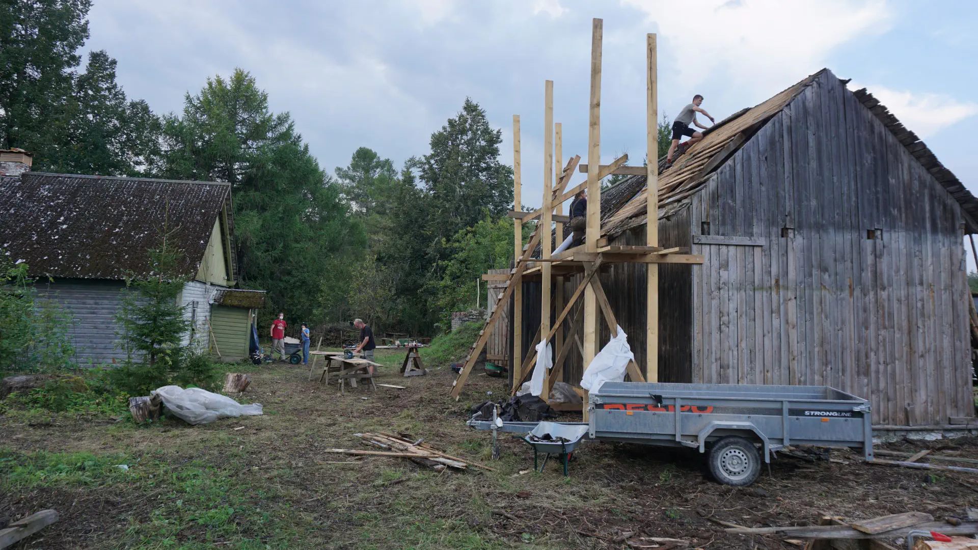 Tobi stands on the newly shingled barn roof and removes the old ridge board