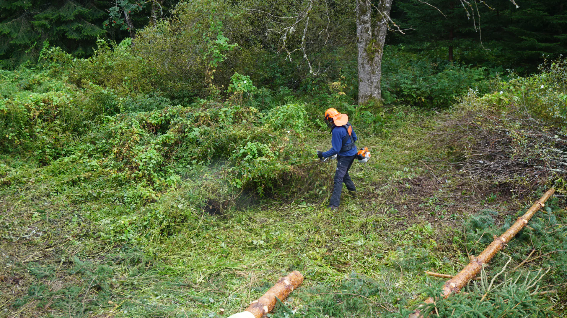 Jo rennt mit dem Freischneider durch die Büsche