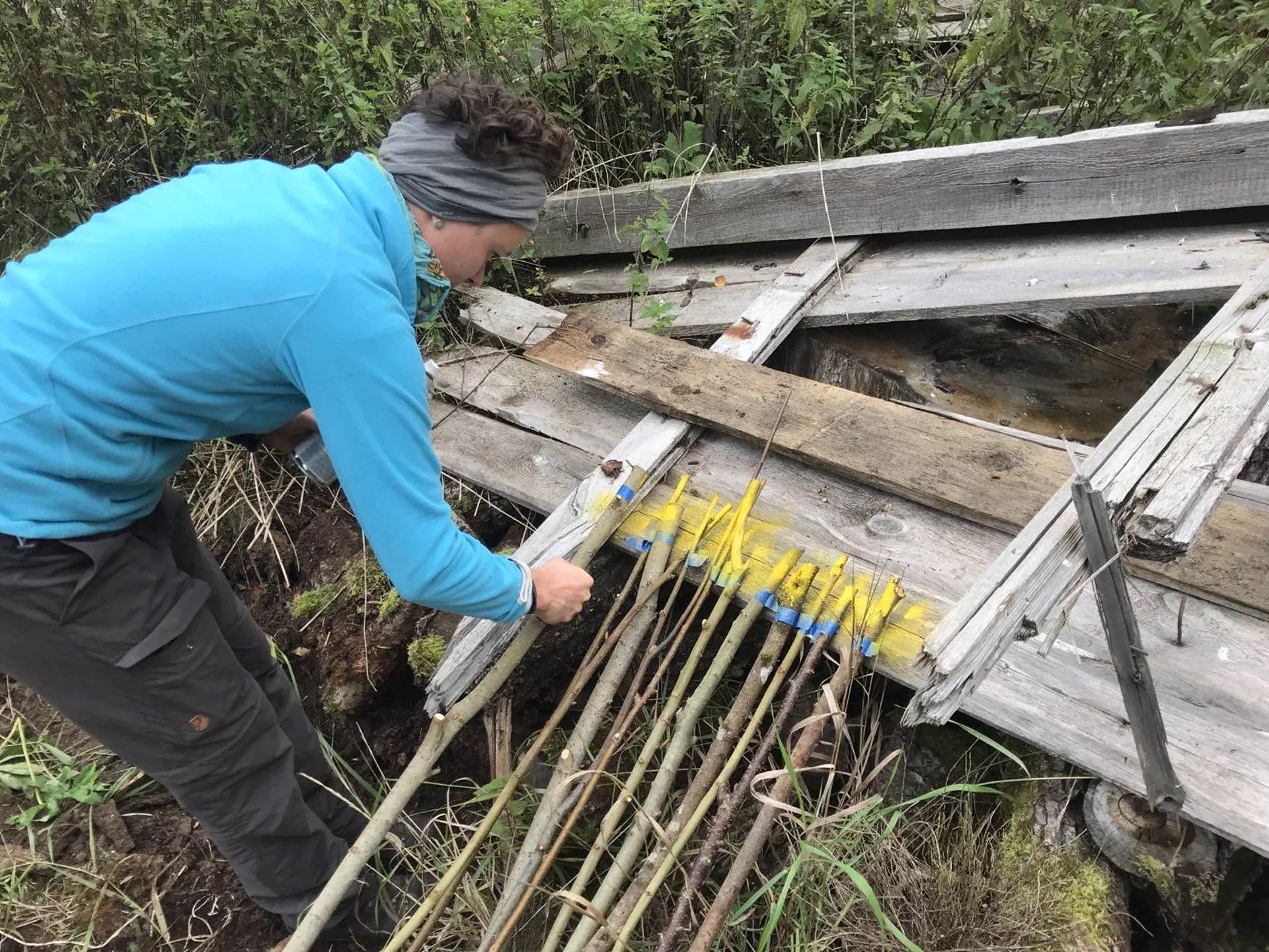 Lola builds marker poles for the property boundaries