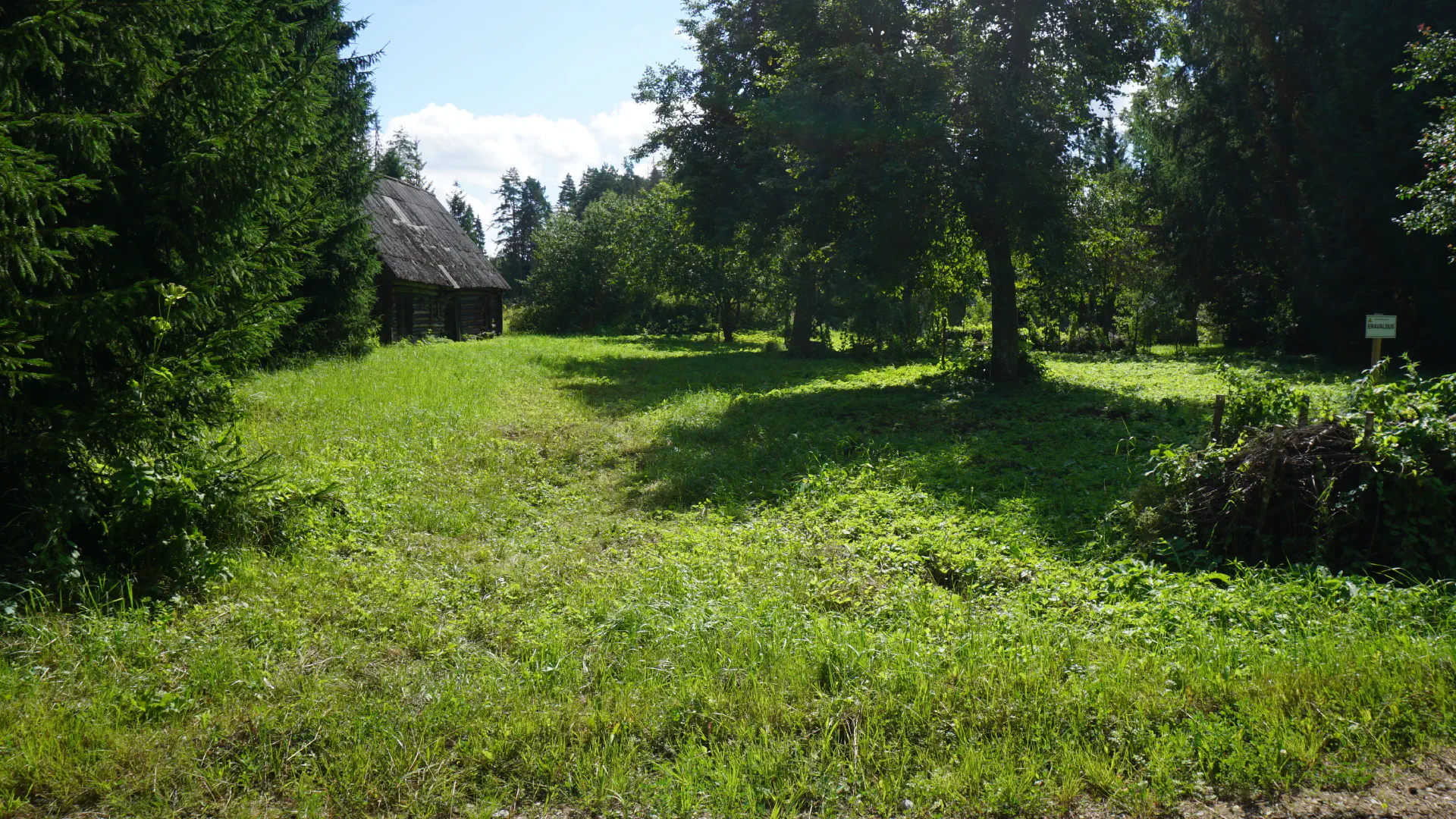 Der Rihula-garden. A lot of green and a lime tree.