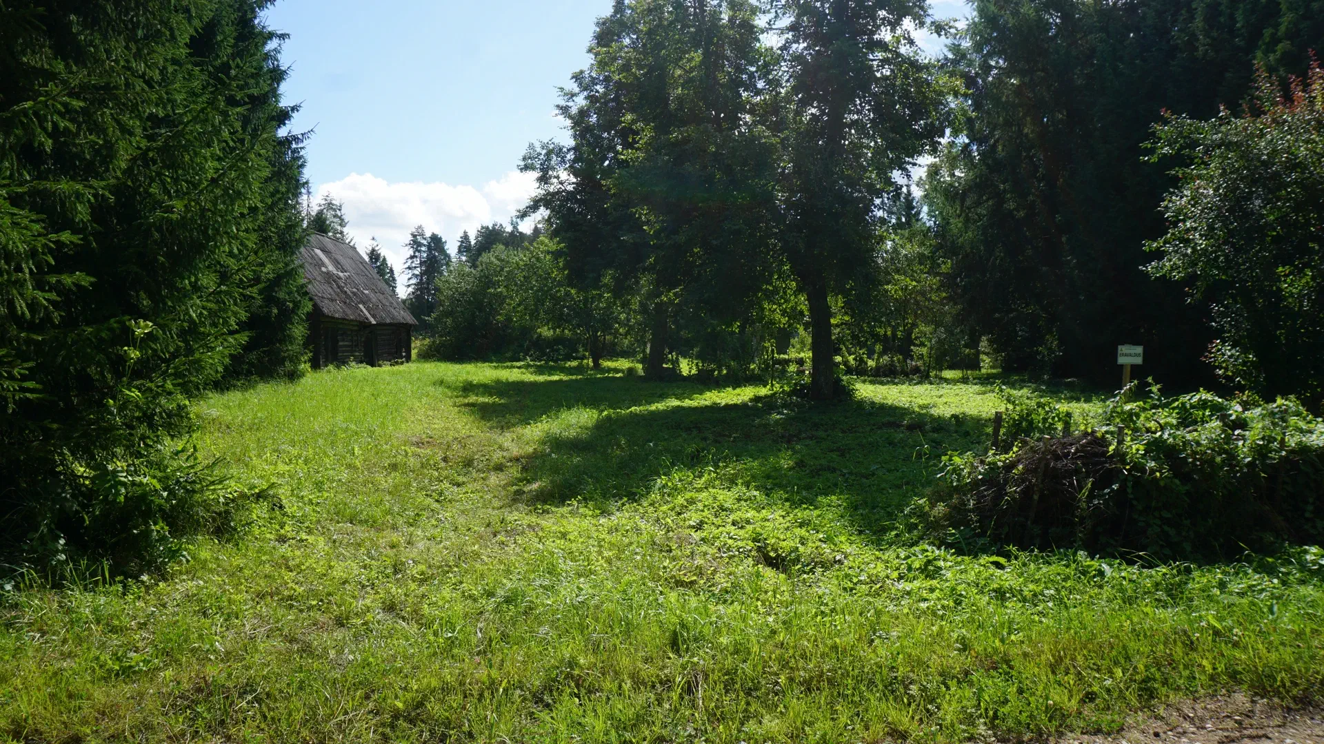 Der Rihula-garden. A lot of green and a lime tree.