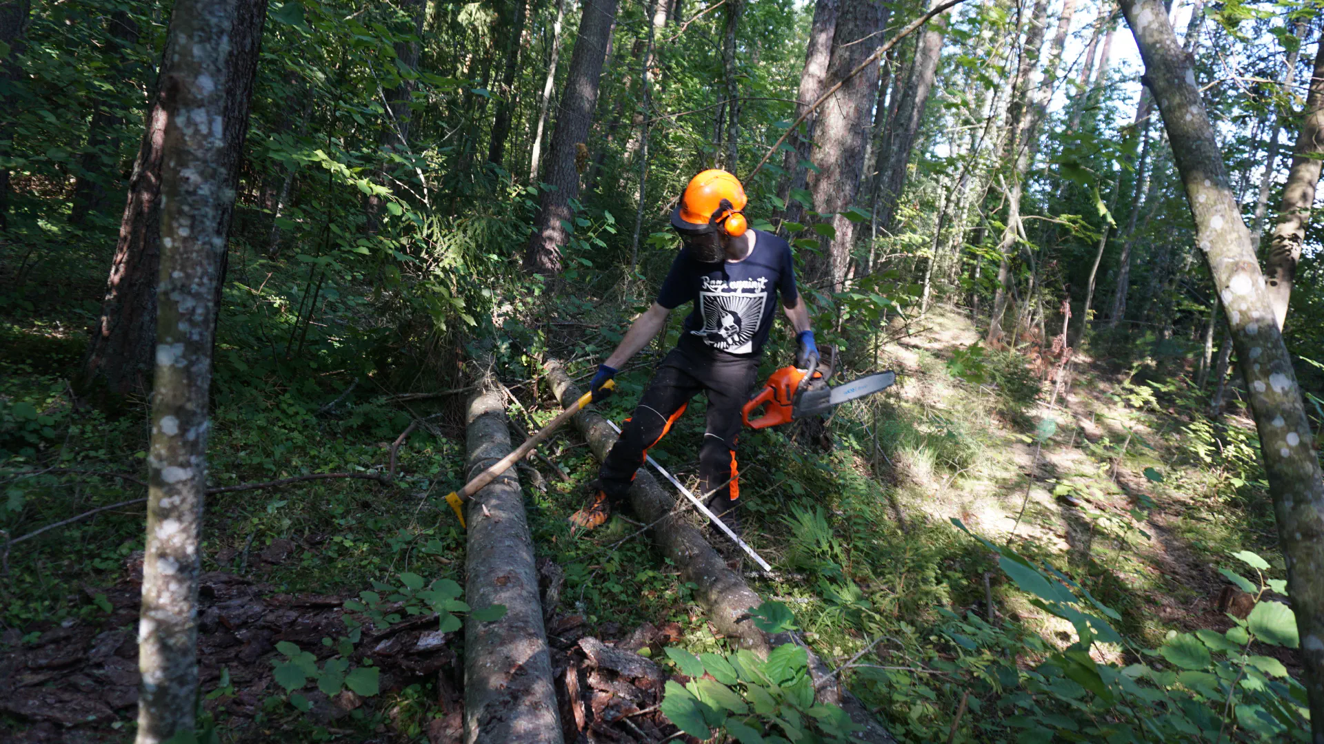 Lionel wields the chainsaw in Marju's forest