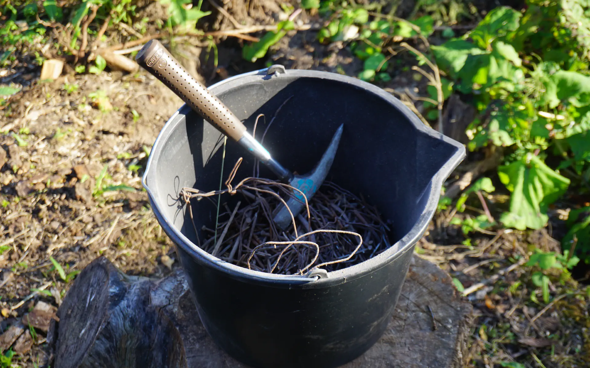 A bucket full of nails