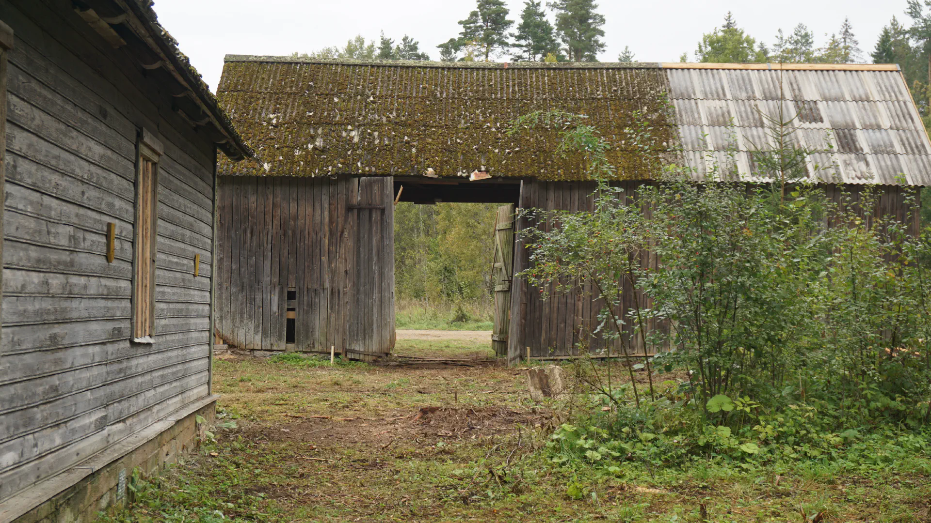 The barn with repaired roof and gate