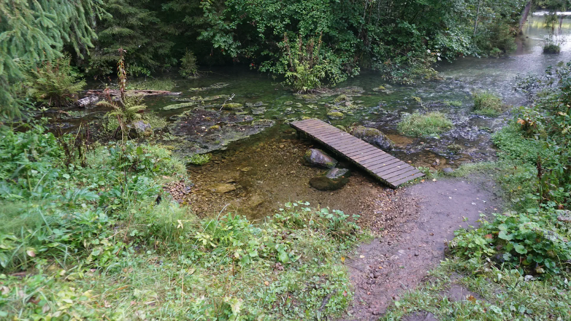 Our spring with a footbridge