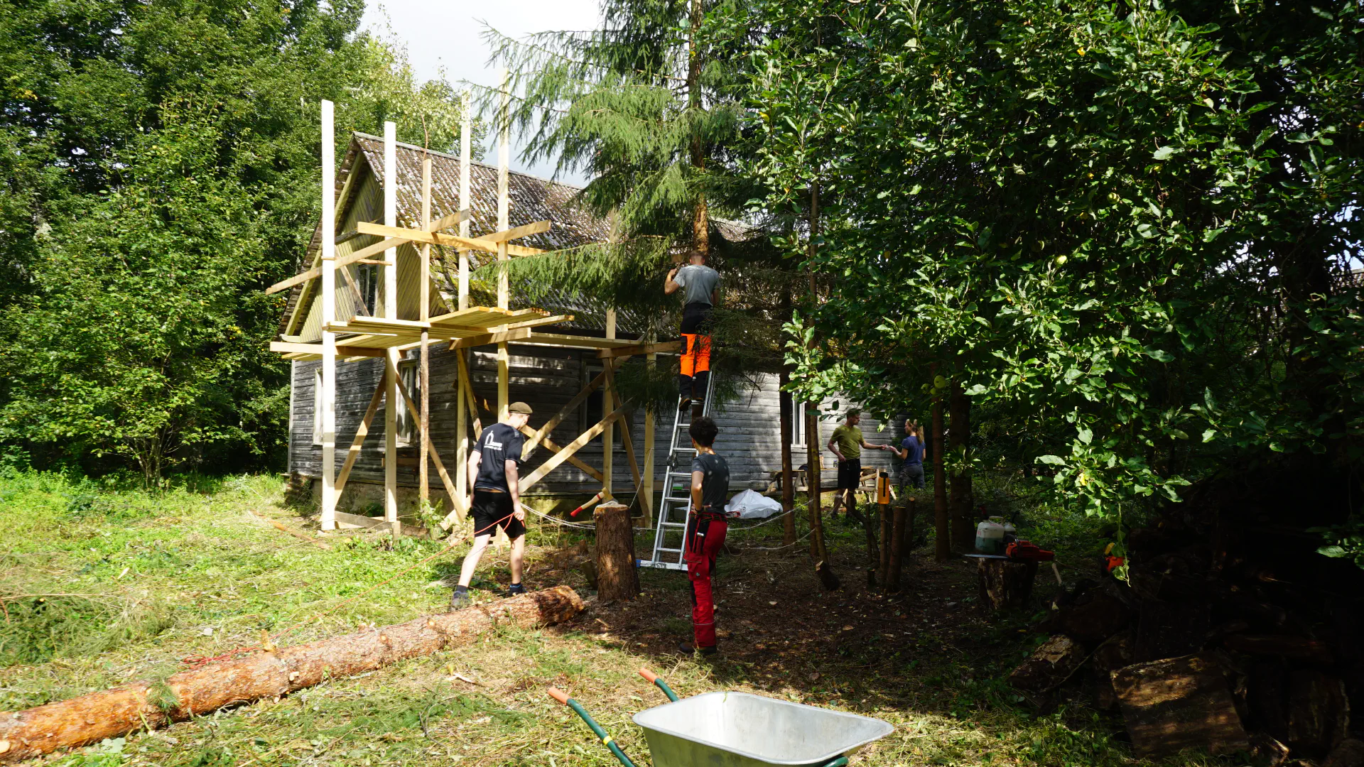 The scaffolding is in the background, but everyone is messing around with the trees